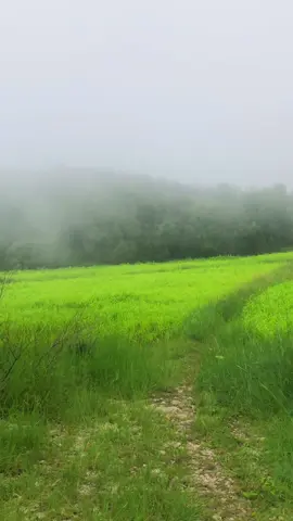 وادی سون سکیسر میں بارش کا موسم⛈️ #soonvalley #village #gaon #foruyou #viral 