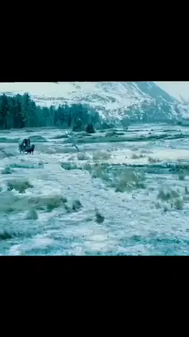 vahşi doğada garip yaratık #greenscreen #dizi #film #keşfet #filme 