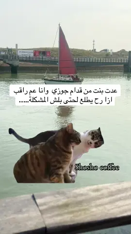 #MemeCut #Meme #MemeCut #زوجي_الله_يحفظك💍💍 #اكسبلور 