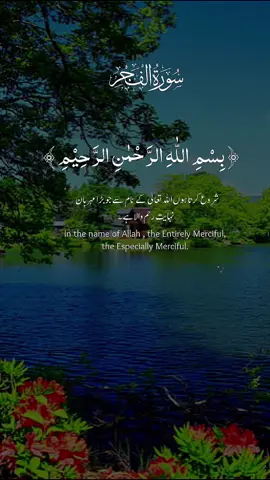#CapCut#quran#islamic_video#viralvoice#creatorsearchinsights2025 