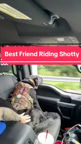 Cruisin with my best friend 🐾 riding shotgun… #foryou #doglove #mansbestfriend🐶 #servicedog #cruising 
