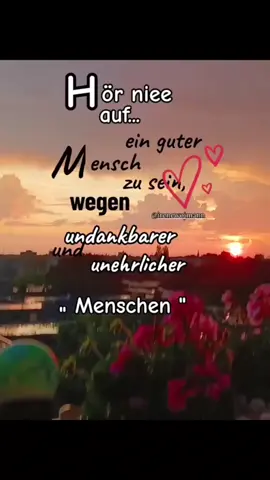 #deutschtiktok #beegees #sprüche #zumnachdenken 