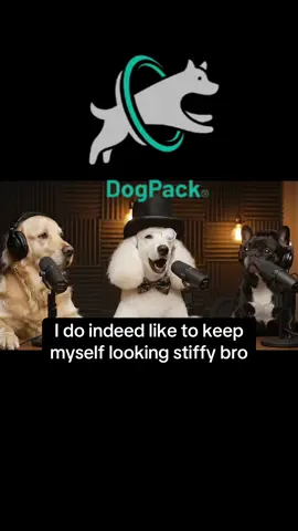 Who here has a Poodle? 😭😂❤️