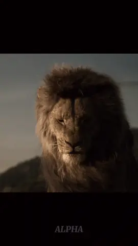 Deviens la meilleure version de toi même  #hanszimmer #motivation #simba #roilion #mufasa 