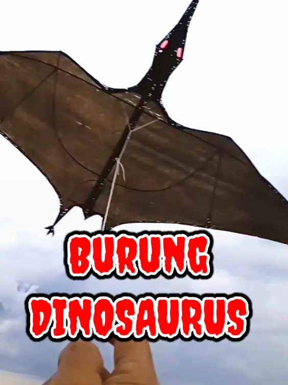 Layangan burung dinosaurus #layangan #saranggola #kite #fyp #burung 