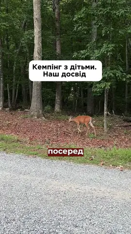 Зберігайте місце! Дуже рекомендую #українцізакордоном #українцівсша