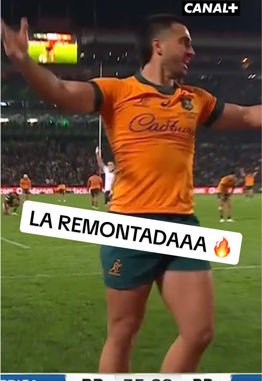 De 22-0 à 22-38 🤯🇦🇺 #sports #sportstiktok #rugby #rugbytiktok #australia 