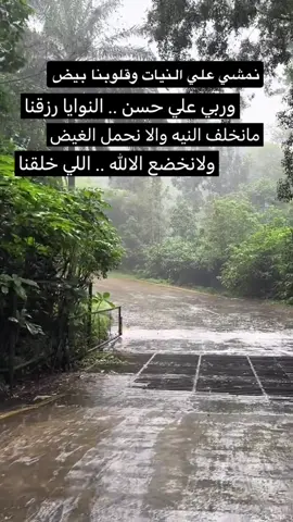 #اكسبلور 