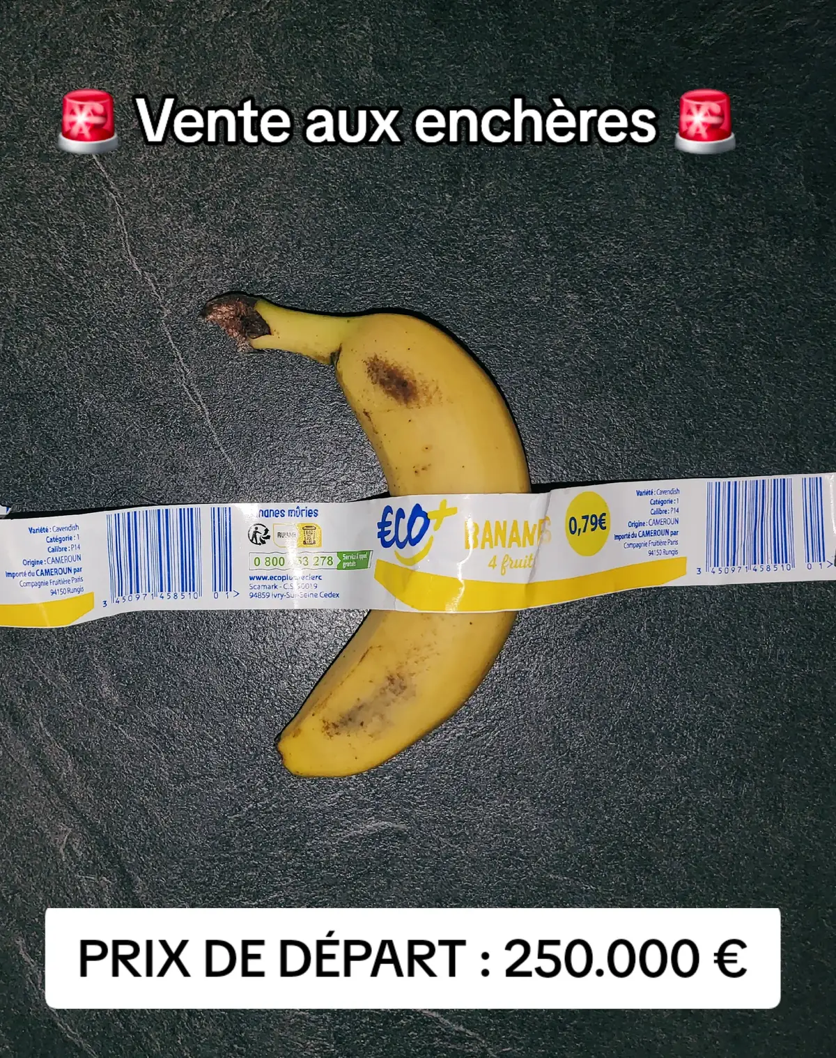 Vente aux enchères PRIX DE DÉPART : 250.000€ #viral #picoftheday #banane #banana #art 