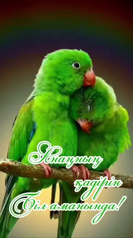 Әлия Абікен###