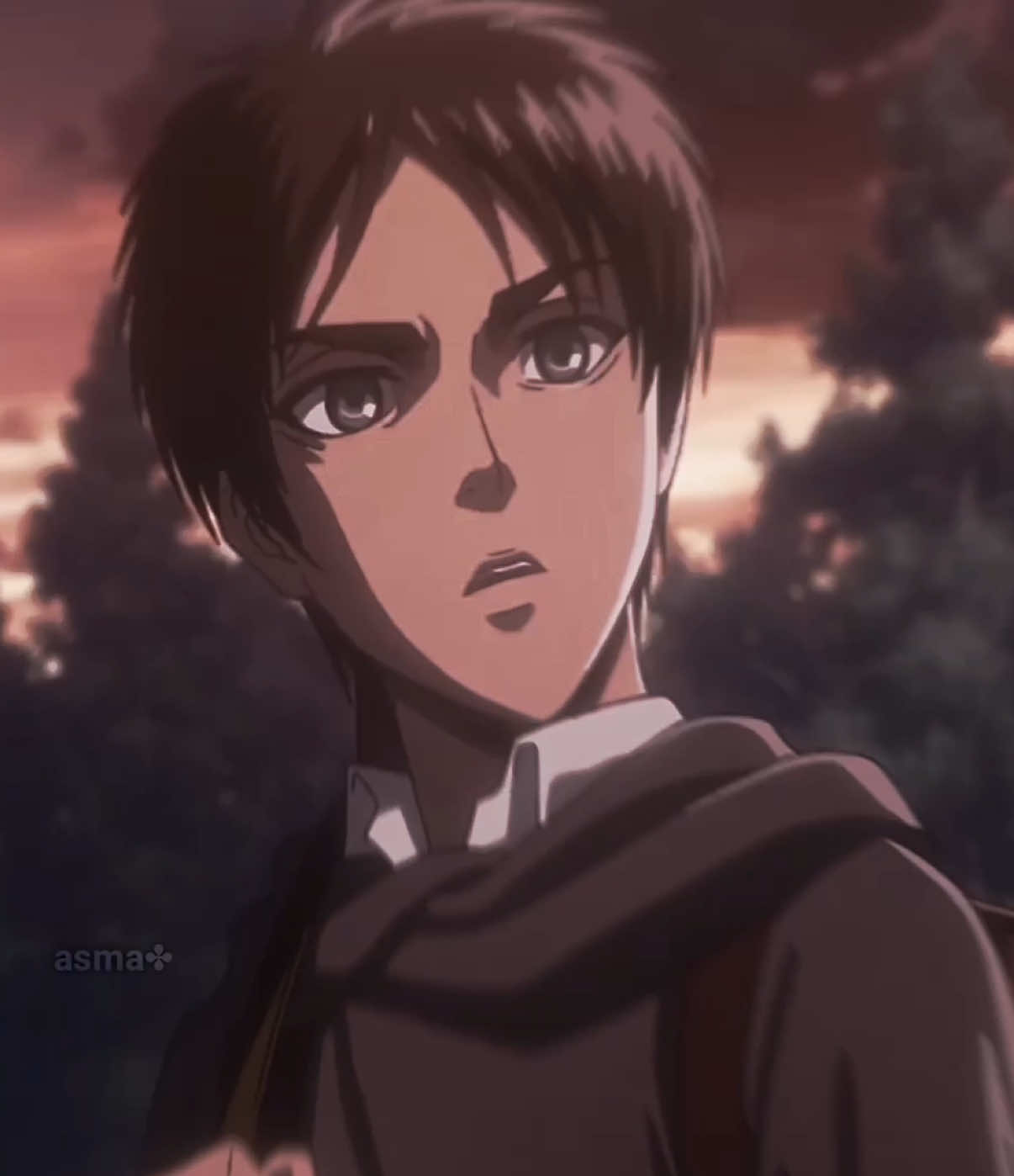 #EREN :: one peak hate will not be tolerated😂✌️ #erenjeager #AOT #AttackOnTitan #edit 