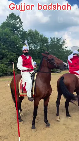 Gujjar badshah chak pirana USA Ala mela Ohio 🎠🧲❤️🐎🎠🧲❤️🐎🎠
