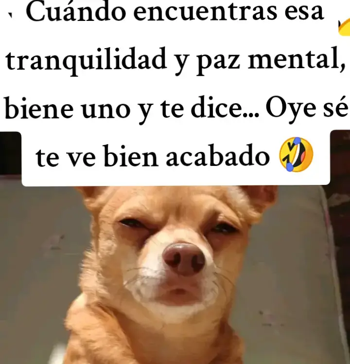 Biene uno y te dice que estas acabado 😁😬😜#full humor#paratiiiiiiiiiiiiiiiiiiiiiiiiiiiiiii. 