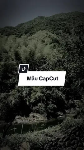 Giai điệu này…#bachtuong205 #bachtuong #capcut #capcutpioneer #pioneertemplate 