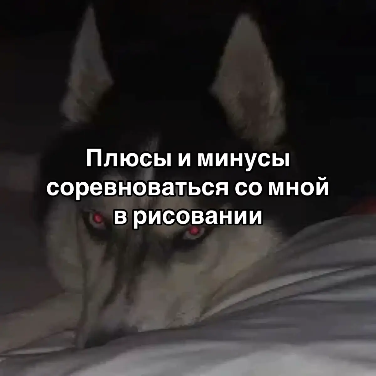 Тгк: Аккари #CMH #CrazyMegaHell #руслантушенцов #Аккари #Aqcari 
