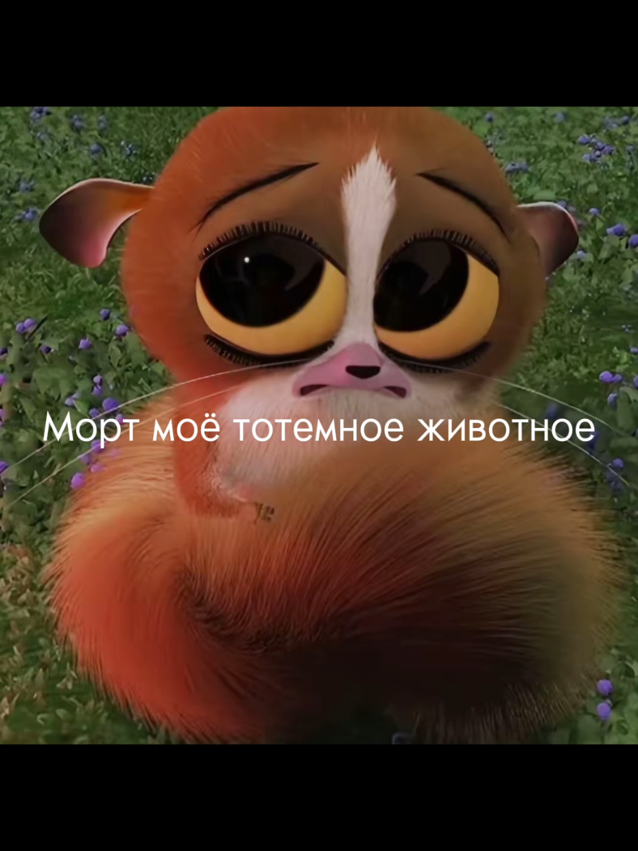 Морт моё тотемное животное кто не понял #морт #моётотемноеживотное #щп #тренд #животные #fish 
