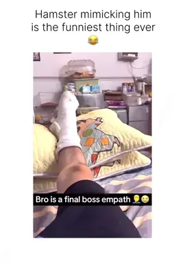 Ain’t No Way Bruh 😭 #hamster #hilarious #funnyvideos #meme #fyp 