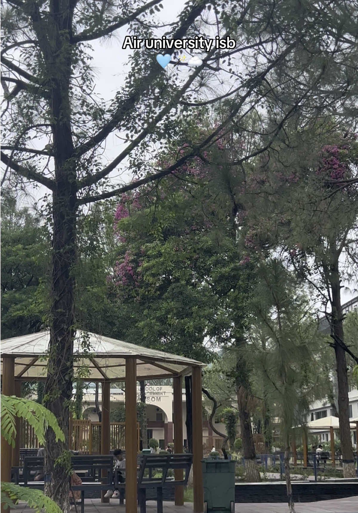 Or kis ny idr admission lia 🙂👉🏻👈🏻 | #air #uni #isb #fypviral #tiktok #reshare #like #islamabad 