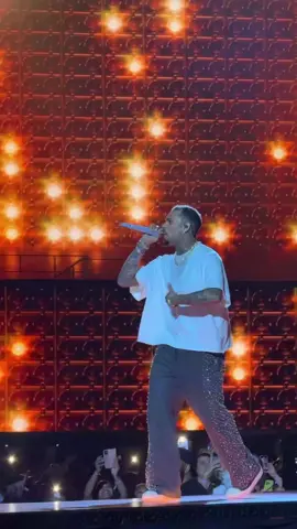 #chrisbrownofficial #chrisbrowntiktok #breezybrown #teambreezy #fyp 