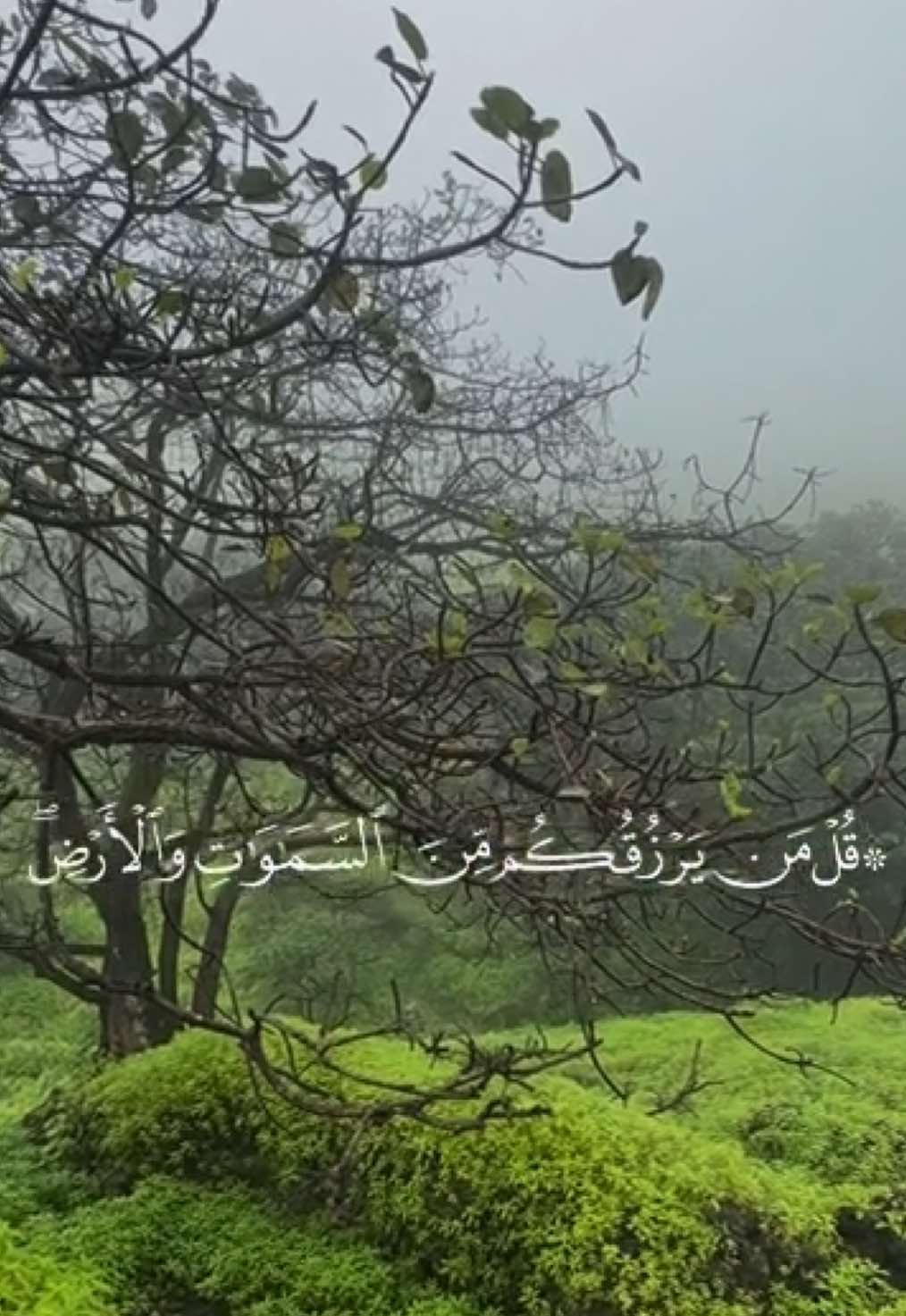 الحمدلله  #تلاوات #بدر_التركي #سورة_سبأ 