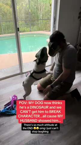 POV: MY DOG now thinks he’s a DINOSAUR and we CAN’T get him to BREAK CHARACTER…all cause MY HUSBAND showed him… #fyp #foryou #dogsoftiktok #funny #PetsOfTikTok #furrytiktok #furry 