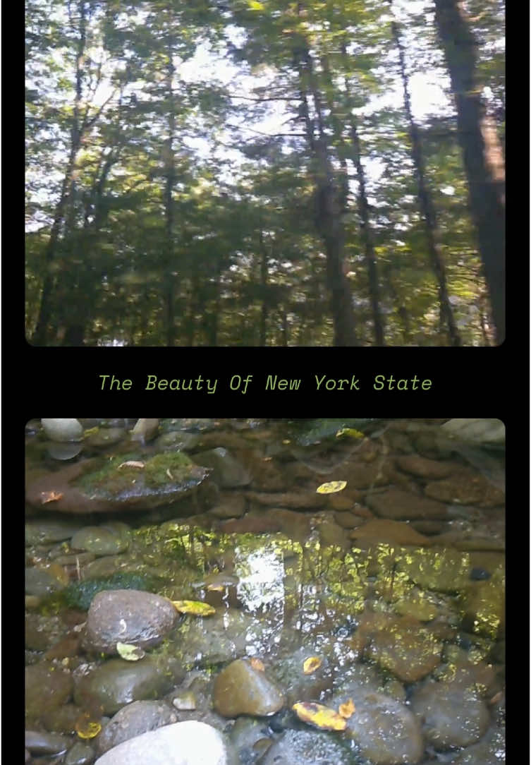 The beauty of New York State 🌳| I took a trip upstate a week ago and decided to film the beauty of this state that I love so much! #NewYorkState #NewYork #Nature 