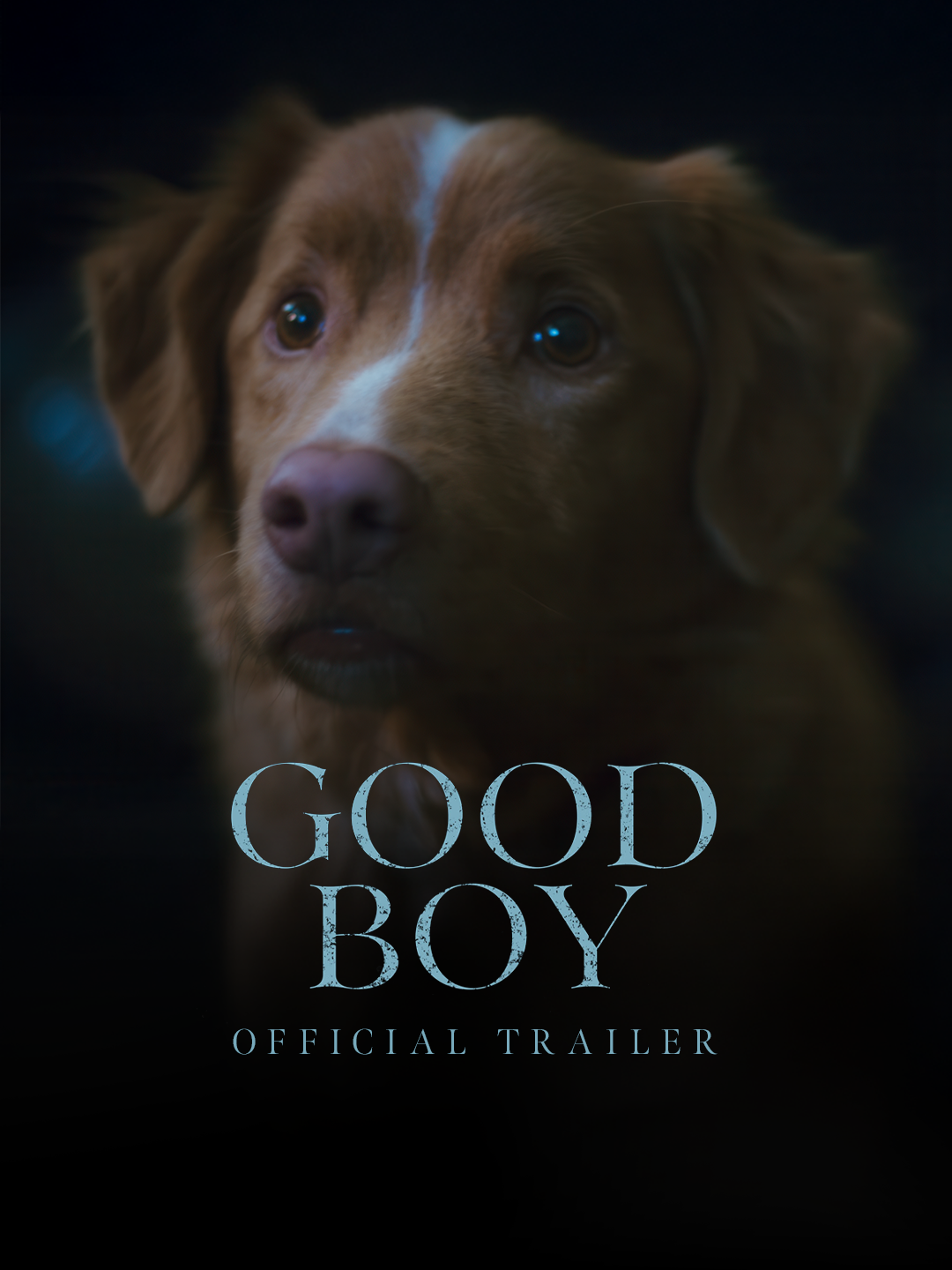 Who's a good boy? Watch the OFFICIAL TRAILER for the SXSW horror sensation. #GoodBoy is In Theaters October 3.
