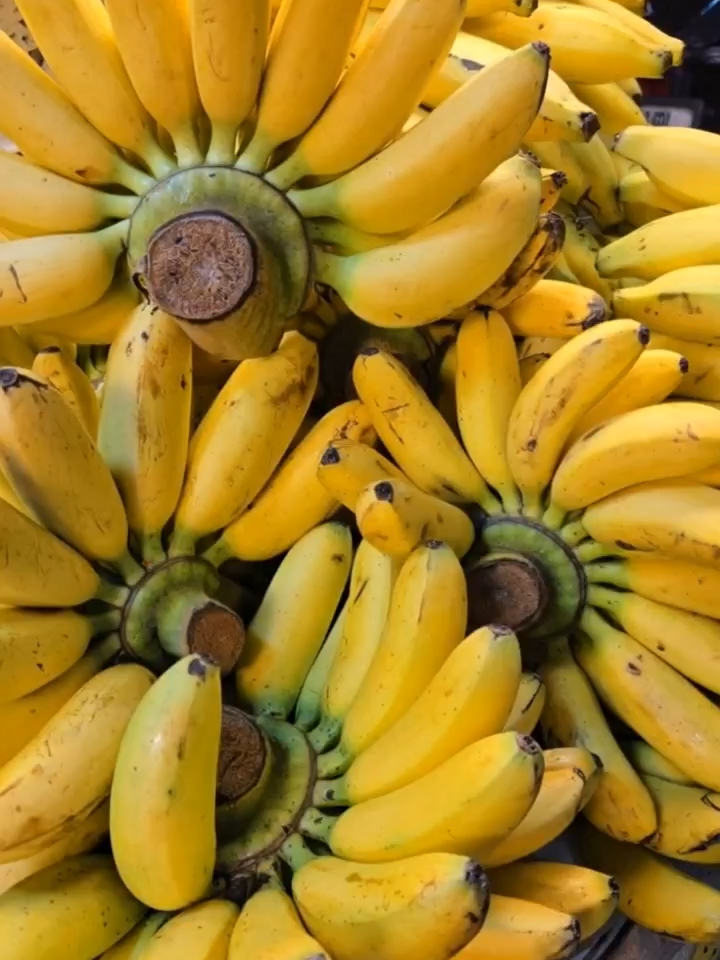 Spot the imposter 🍌🐍😂 #magichourai #magichourillusions #madewithmagichour #wildanimals #animals #wild #banana #fruit #transformation #ai #aigenerated #trending #aivideo #viraltiktok #fyp