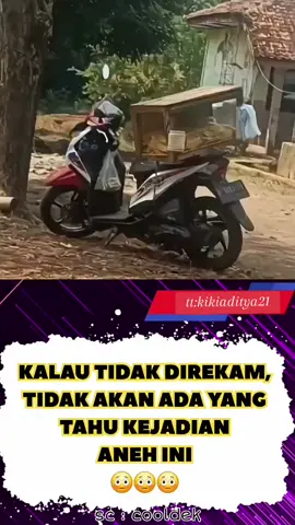 #kumpulanvideolucu #videolucu #ketawangakak #lucu #funny #misteri #komedi #takut #masukberanda #viral #fyp #tiktokfyp #tiktokviral #trendingtiktok #trending #semuaorang #pengikut #horror #misteri #serem #penampakan #hewananeh #artist  