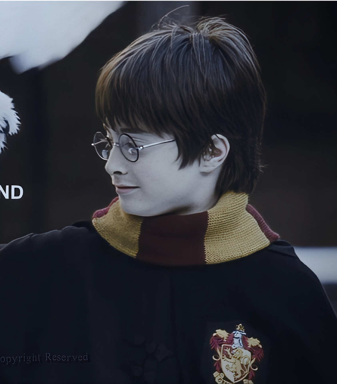 Once upon a dream. #harrypotteredit #harrypotteraesthetic #harrypotter #hpedit #harrypotteraestheticedit  — harry potter edit after effect Daniel Radcliffe aesthetic — SCP - lupinscp CC - hrcrxes 