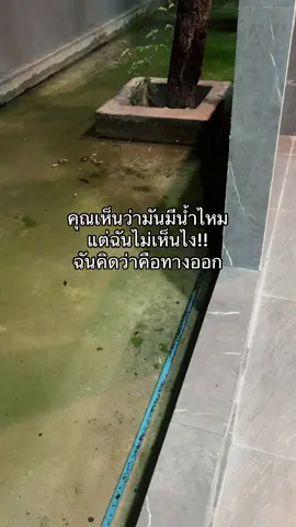 เกิดแต่กับกู ความเมาเป็นเหตุ 🤦🏻‍♀️