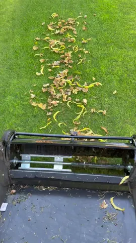 Push lawn sweeper @Vevor_US #fall 