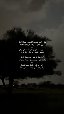 #اكسبلووووورررر #سجات_بريات🍂 #بر #قصايد_شعر_خواطر_شيلات_الاكسبلور #جيوب_جكس 