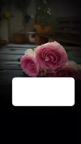 اللهم الجنه ولذه النظر لوجهك الكريم يارب العالمين 🤲#اللهم_حسن_الخاتمه_ياارب #يارب❤️ #foreyoupage #foryou #تصاميم_روح🦋 