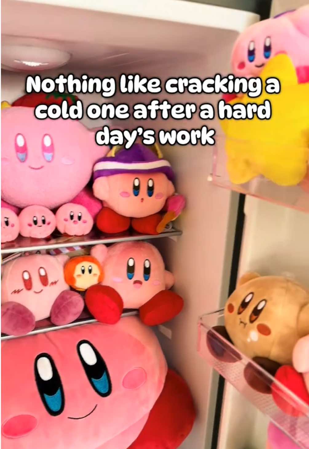 I really have a fridge full of Kirbys.  . . . #kirby #kirbyplush #kirbyplushie #kirbycollection 