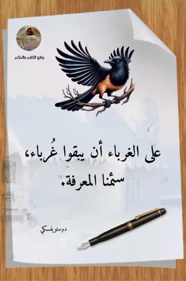 #سفير_الصمت📝🤍 