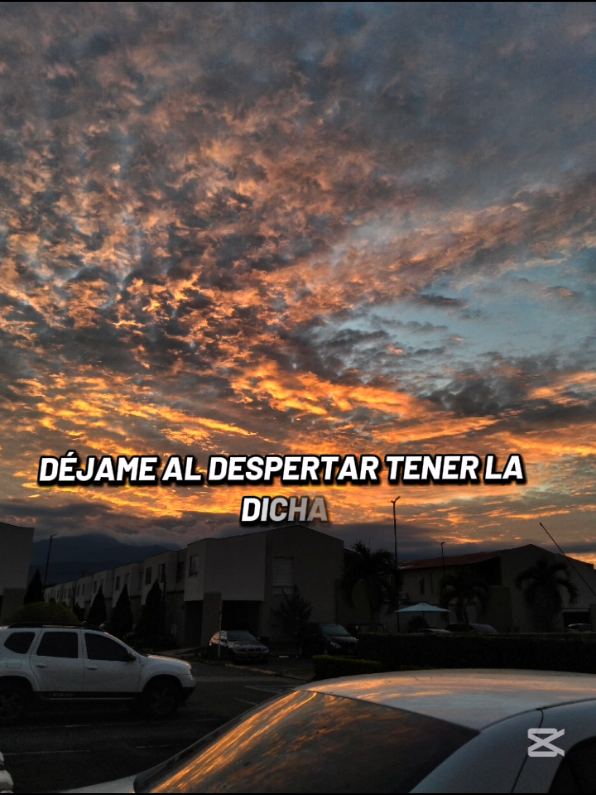 Déjame al despertar tener la dicha #salsa #dejamesentirtegilbertosantarosa 