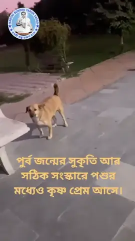 hare krishna😊🙏#foryou #viralvideo #unfrezzmyaccount #bdtiktokofficial🇧🇩tiktokboangladesh😍😍😍🇧🇩 #copylinkplease💗 