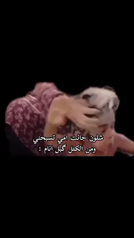 جانت تسبحني غصب 😂 فولو بدربك 🤍✨ #ميمز #رياكشن #رياكشنات #ميمز_عرب #memes 