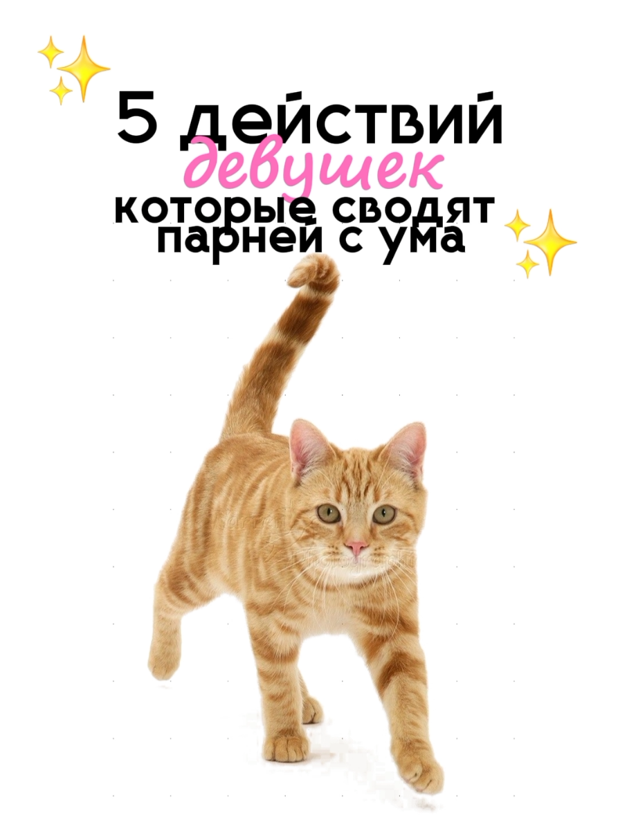 Топ от которого мальчики влюбляются.
