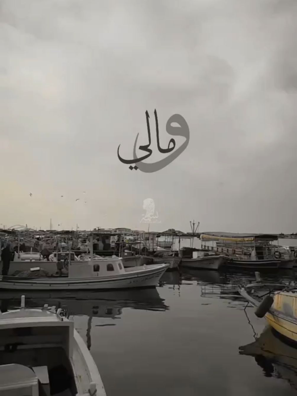 اللهم ارزقنا السعة و لا تحجنا إلا لوجهك الكريم#وائل_الفشني #بسمة #ستوريات #ابتهالات 
