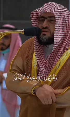 سوره مريم الشيخ والدكتور:#بندر_بليلة #قرآن 