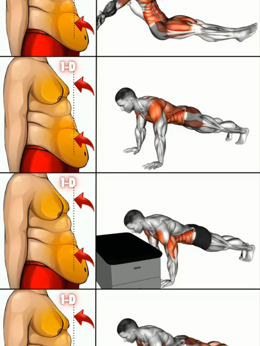 Chest & Abs Workout #GymTok #muscle #exercise #Fitness #workout #workoutroutine #workouttips #fit #fitnesstips #abs #sixpack #absworkout #Chest #Chestworkout