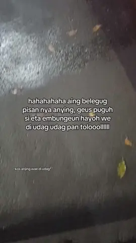 kawas anjing wae di udah udag siamah #siadeui 