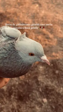 #fyp 
