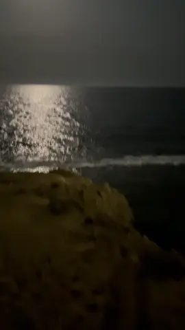 #هواجيس_لانهائية #اكسبلور 