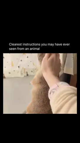 Bro😭… . . . . #memestiktok #funnymoments #followformorecontent✔ #funnyvideos #fyp 