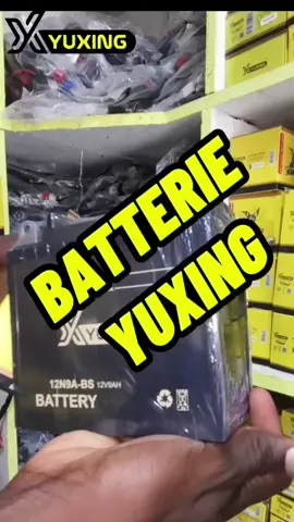 BATTERIE YUXING