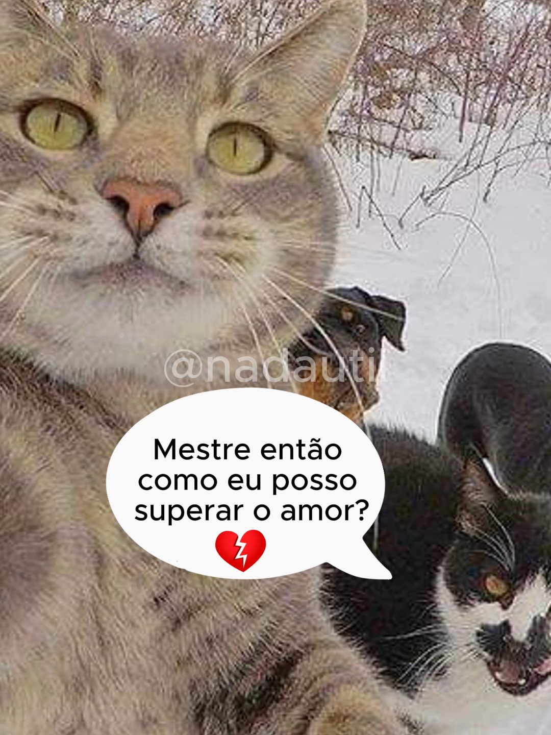 Como superar o amor  #hopecore #yutakamaeno #amor #conselhosamorosos #romance #superacao #terminos #conflito #filosofiaestoica #gatos #gatosengraçados #esperanca #desenvolvimentopessoal #romancebooktok @takkka77