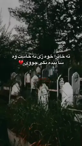 #popular #pyfツ #acc #zaxo_duhok_hewler_slemani_hawler #pyyyyyyyyyyyyyyyf 